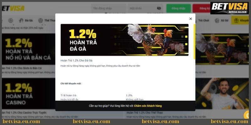 Khuyến mãi Betvisa hoàn trả tỷ lệ 1.2% cho đá gà